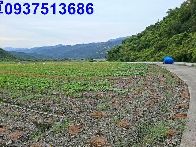 宜蘭農地-1