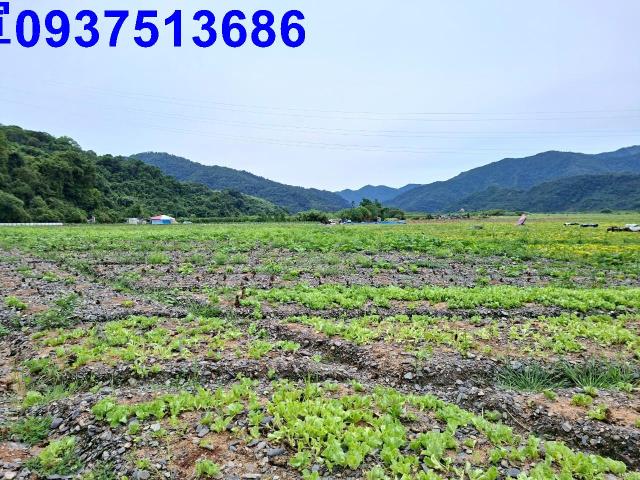 宜蘭農地-0