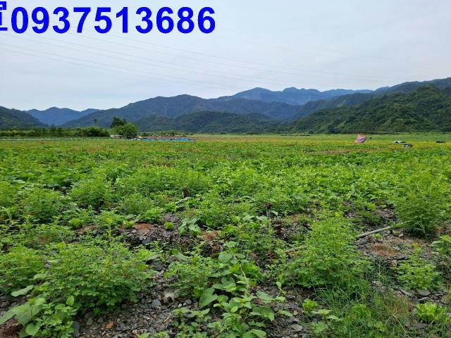 宜蘭農地-8
