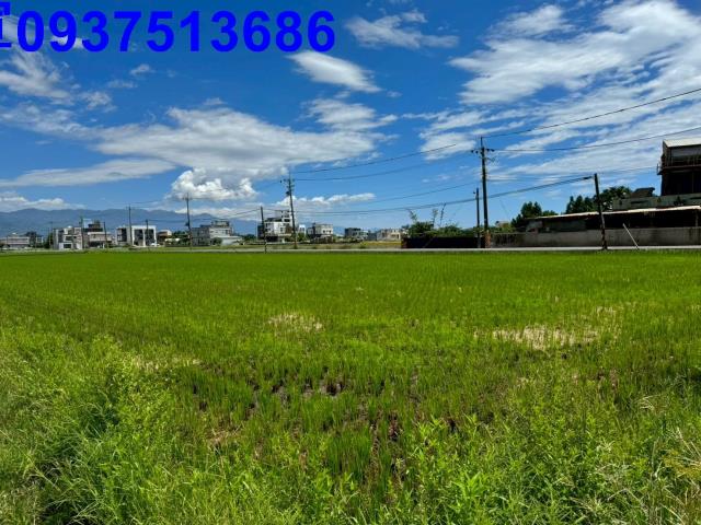 宜蘭壯圍農地-2