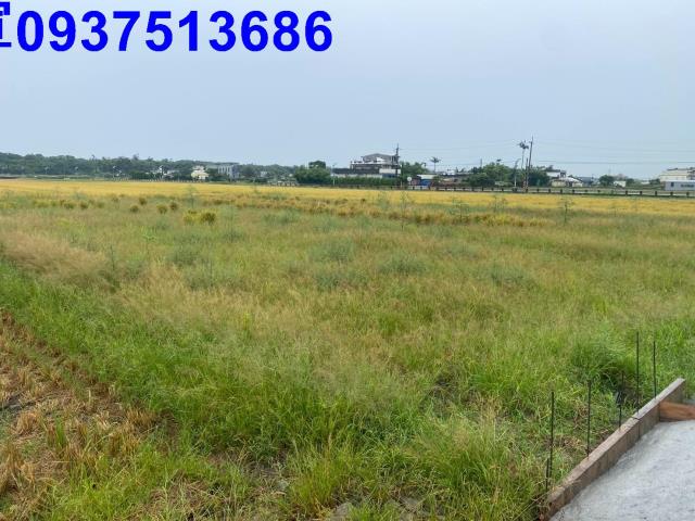 宜蘭壯圍農地-3