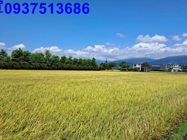 宜蘭壯圍農地-5