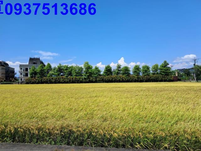 宜蘭壯圍農地-6