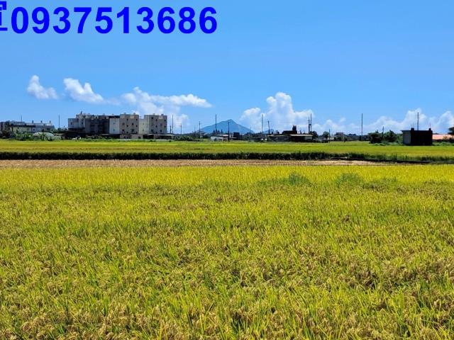 宜蘭壯圍農地-0