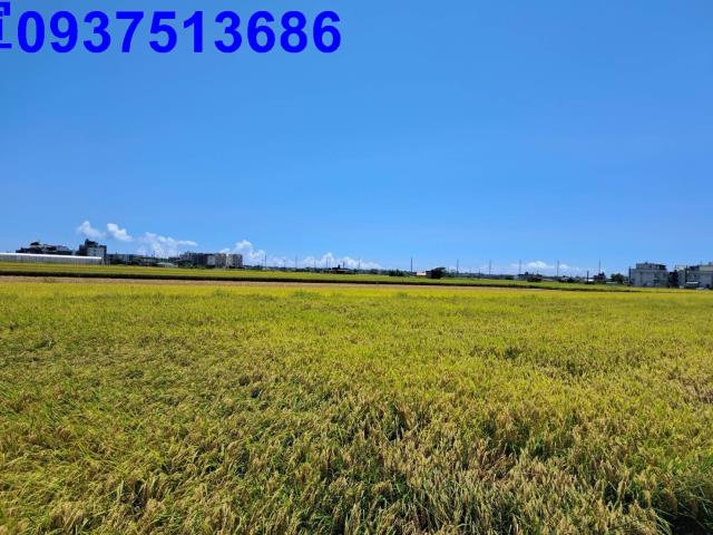 宜蘭壯圍農地-1