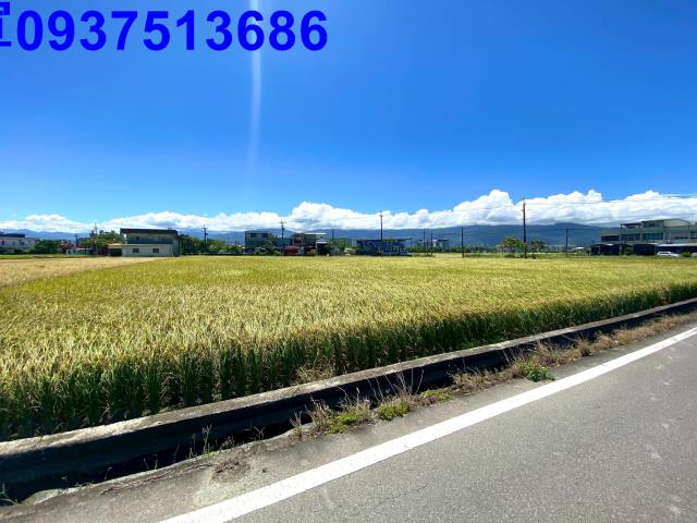 宜蘭壯圍農地-8