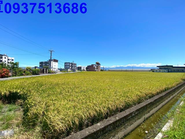 宜蘭壯圍農地-3