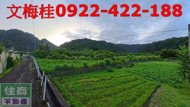 宜蘭員山農地-1