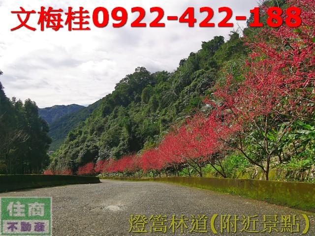 宜蘭員山農地-2