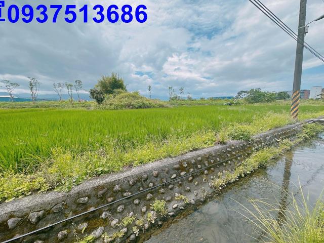 宜蘭宜蘭市農地-0