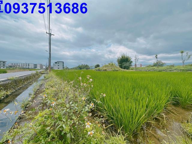 宜蘭宜蘭市農地-2