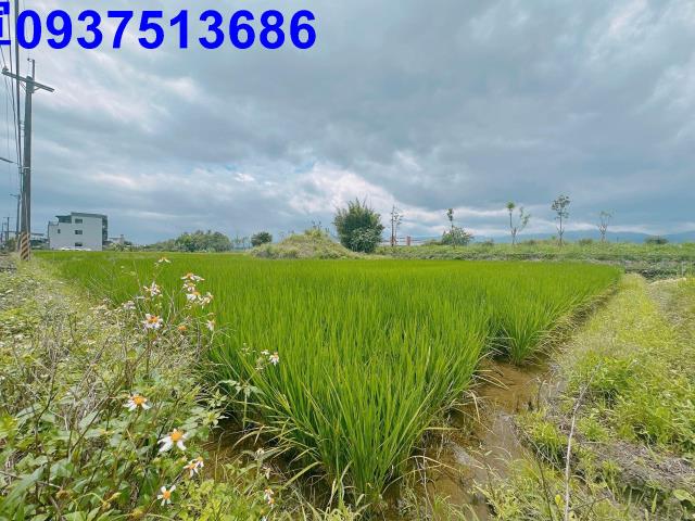 宜蘭宜蘭市農地-3