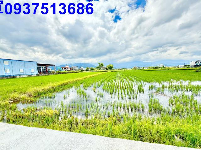 員山農地-12