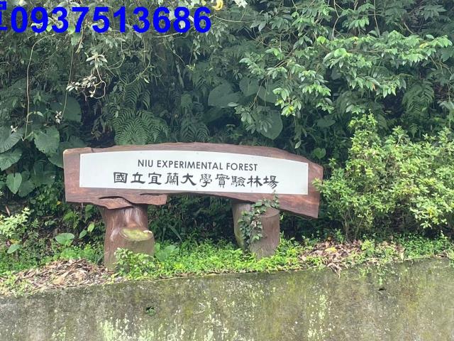 礁溪山坡地-9