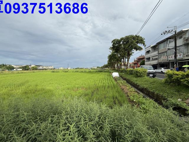 員山農地-9