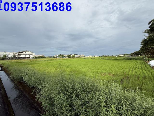 員山農地-7