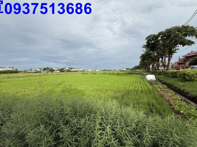員山農地-8