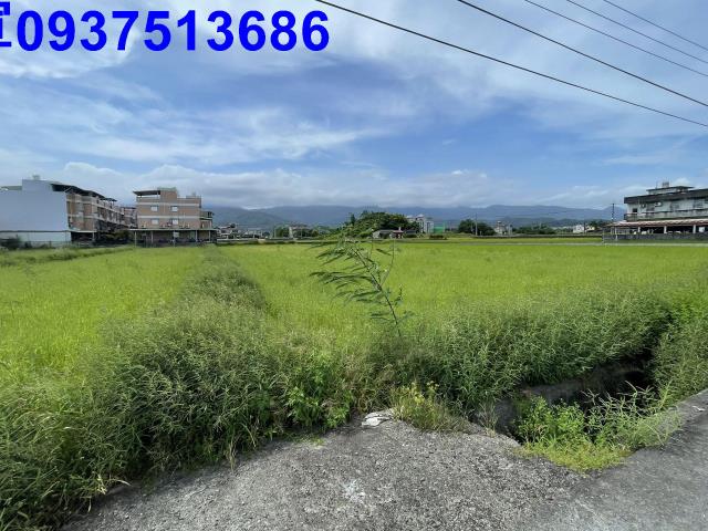 宜蘭市農地-9