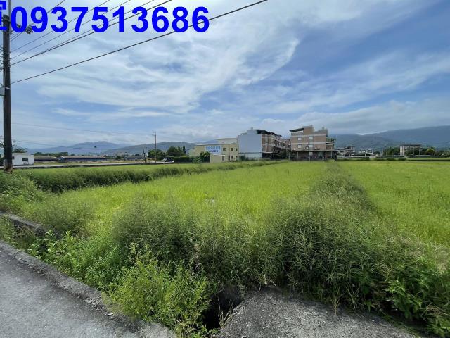 宜蘭市農地-0