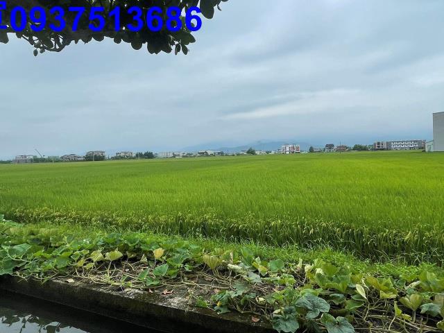 壯圍農地-9