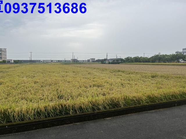 宜蘭市農地-7