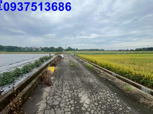 員山農地-10