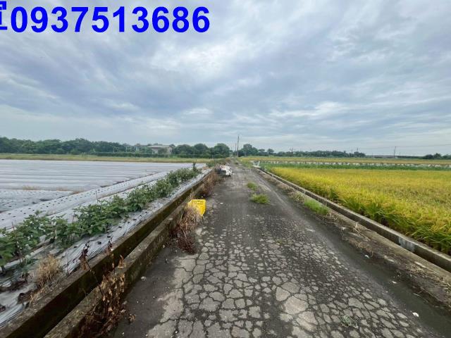 員山農地-11