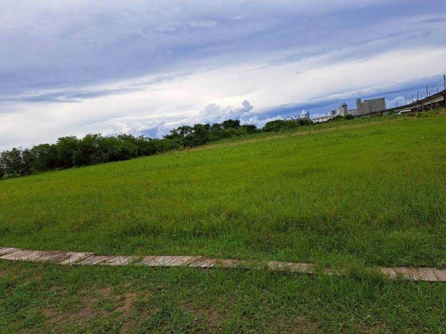 台南仁德農地-4