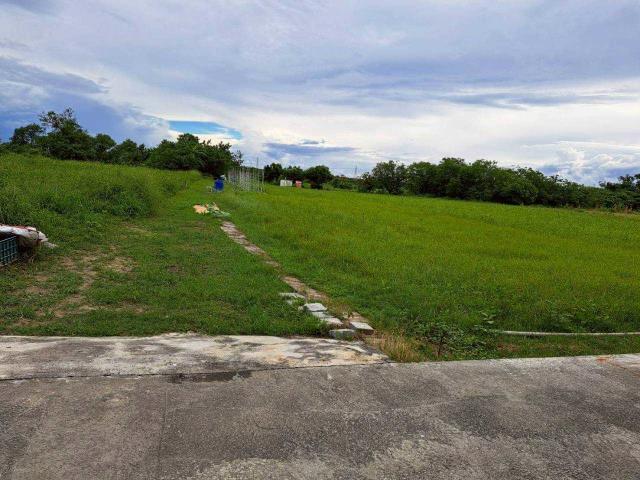 台南仁德農地-5