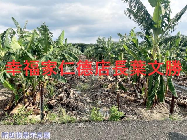 台南市新化區土地農地建地iB13129