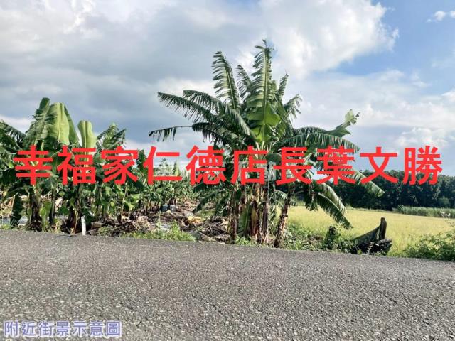 台南新市農地-8