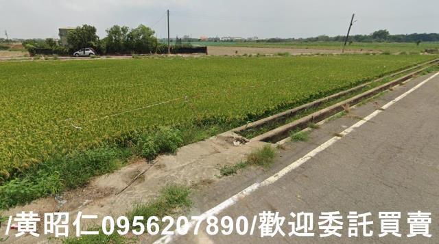 台南六甲農地-9