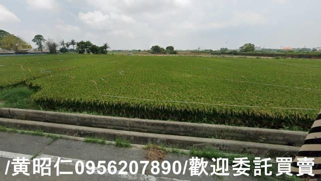 台南六甲農地-0