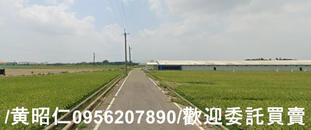 台南六甲農地-5