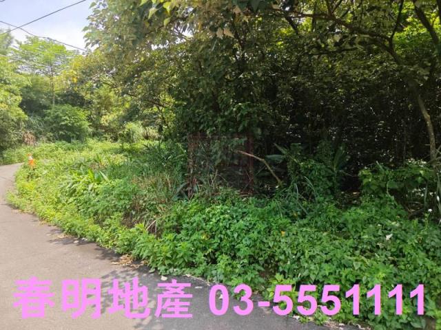 新竹新埔農地-10