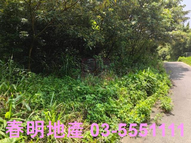 新竹新埔農地-6