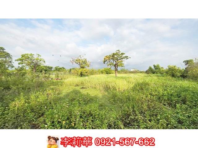 台南安定農地-9