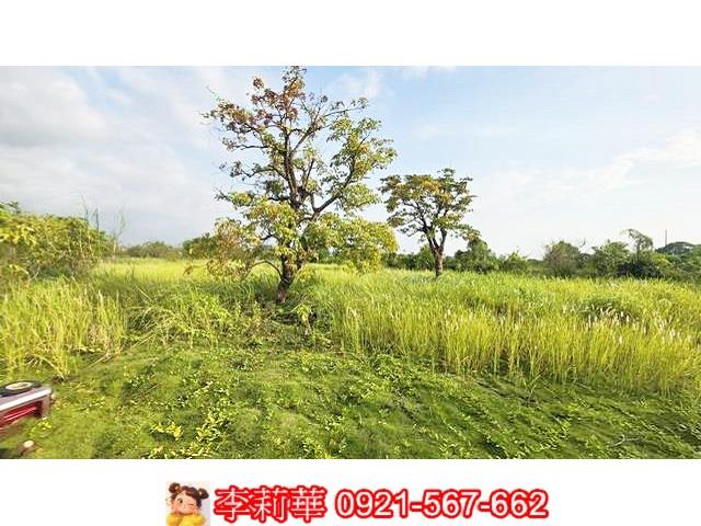 台南安定農地-10