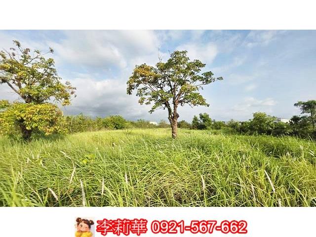 台南安定農地-5