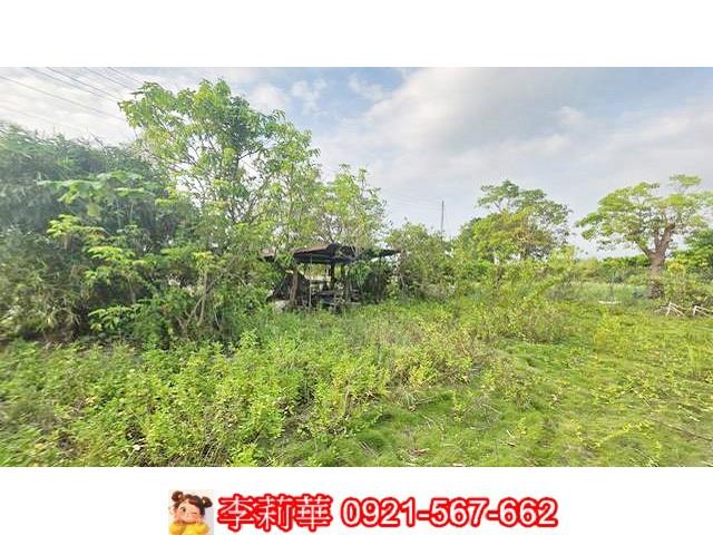 台南安定農地-6