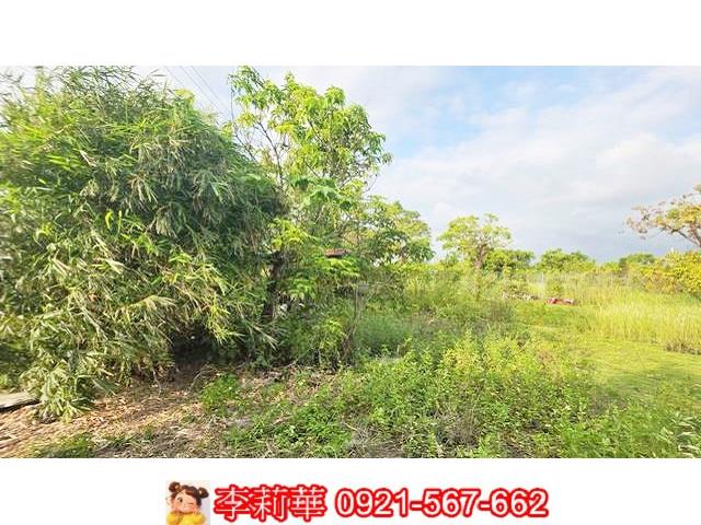 台南安定農地-7