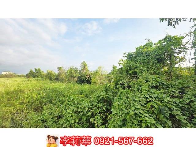 台南安定農地-8