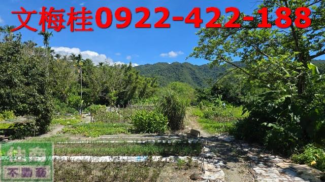 宜蘭員山農地-1