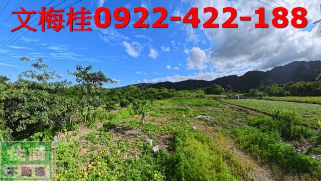 宜蘭員山農地-7