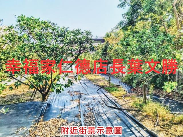 麻豆農地-11