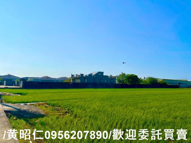 歸仁農地-10