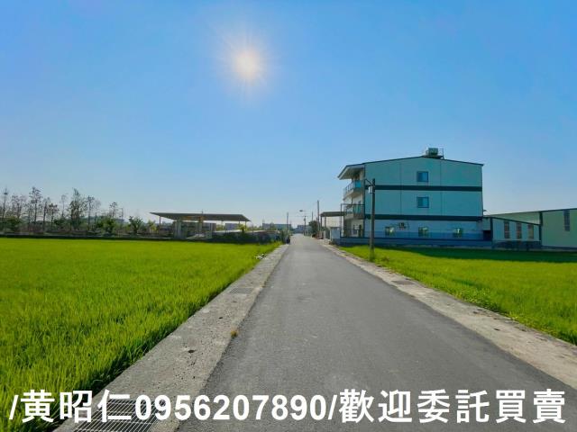 歸仁農地-11