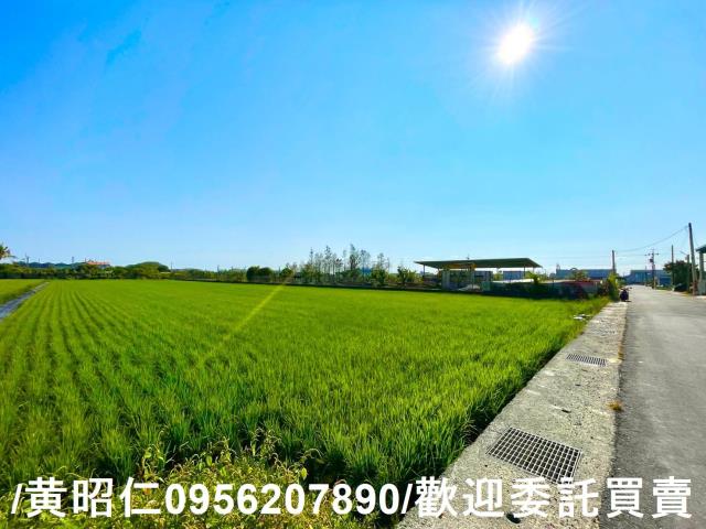 歸仁農地-12