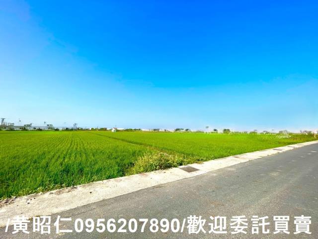 歸仁農地-13