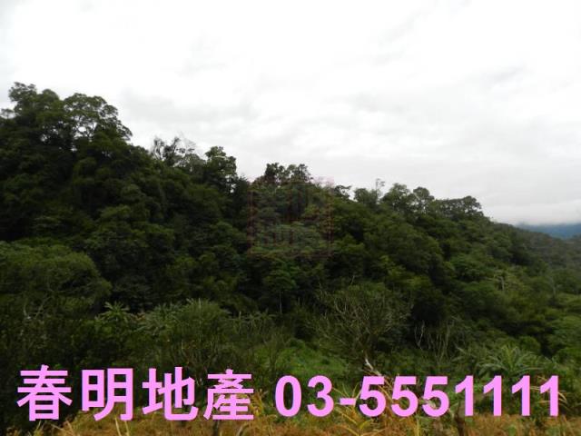 新竹農地-6